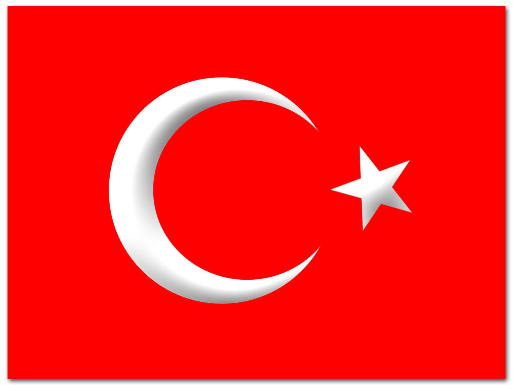 Türk Turan bayrakları
